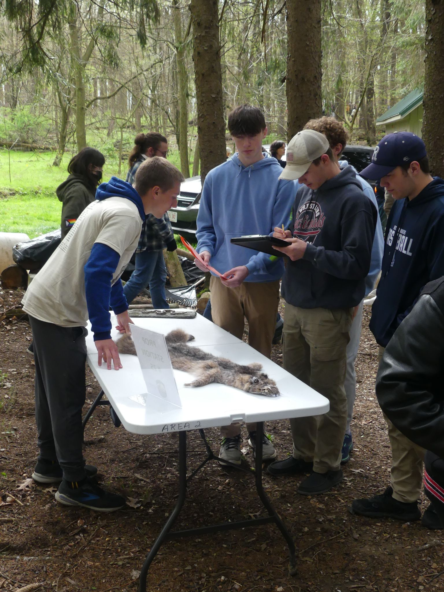 A group of people examining a fur specimen on a table in a wooded outdoor setting.