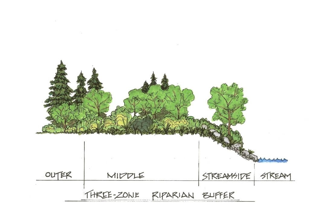 Illustration of a three-zone riparian buffer with labeled sections: outer, middle, and streamside leading to a stream.
