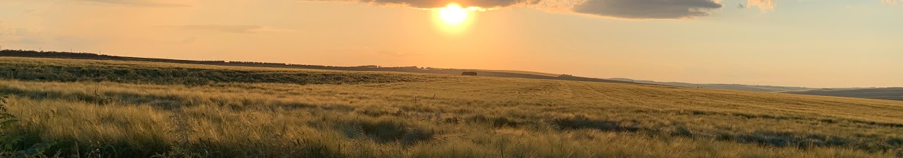 Sunset over a vast open field with tall grass and distant hills.