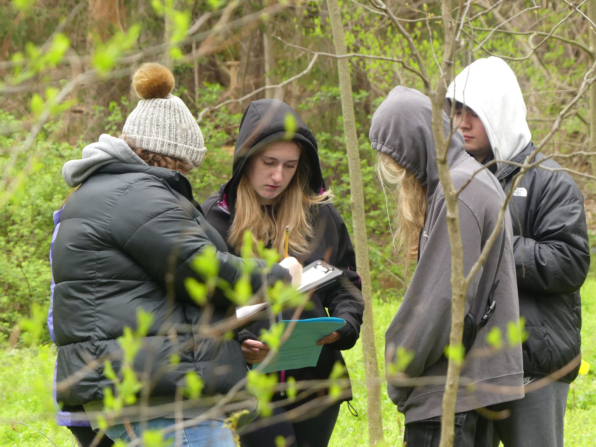 Four people in a forest, wearing jackets and hoodies, looking at a clipboard, possibly studying or discussing something.