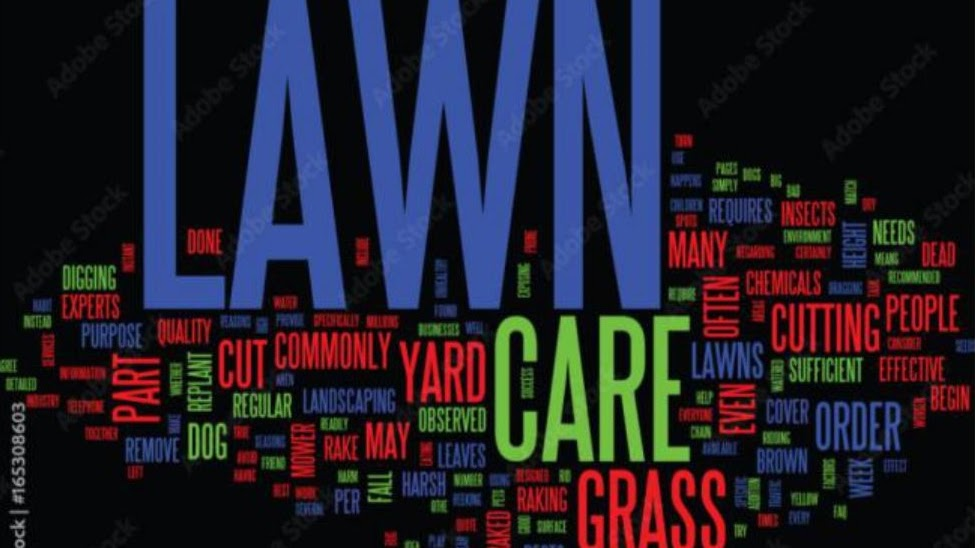 A word cloud featuring “Lawn,” “Care,” “Grass,” “Yard,” and related terms in varied sizes and colors, indicating importance.