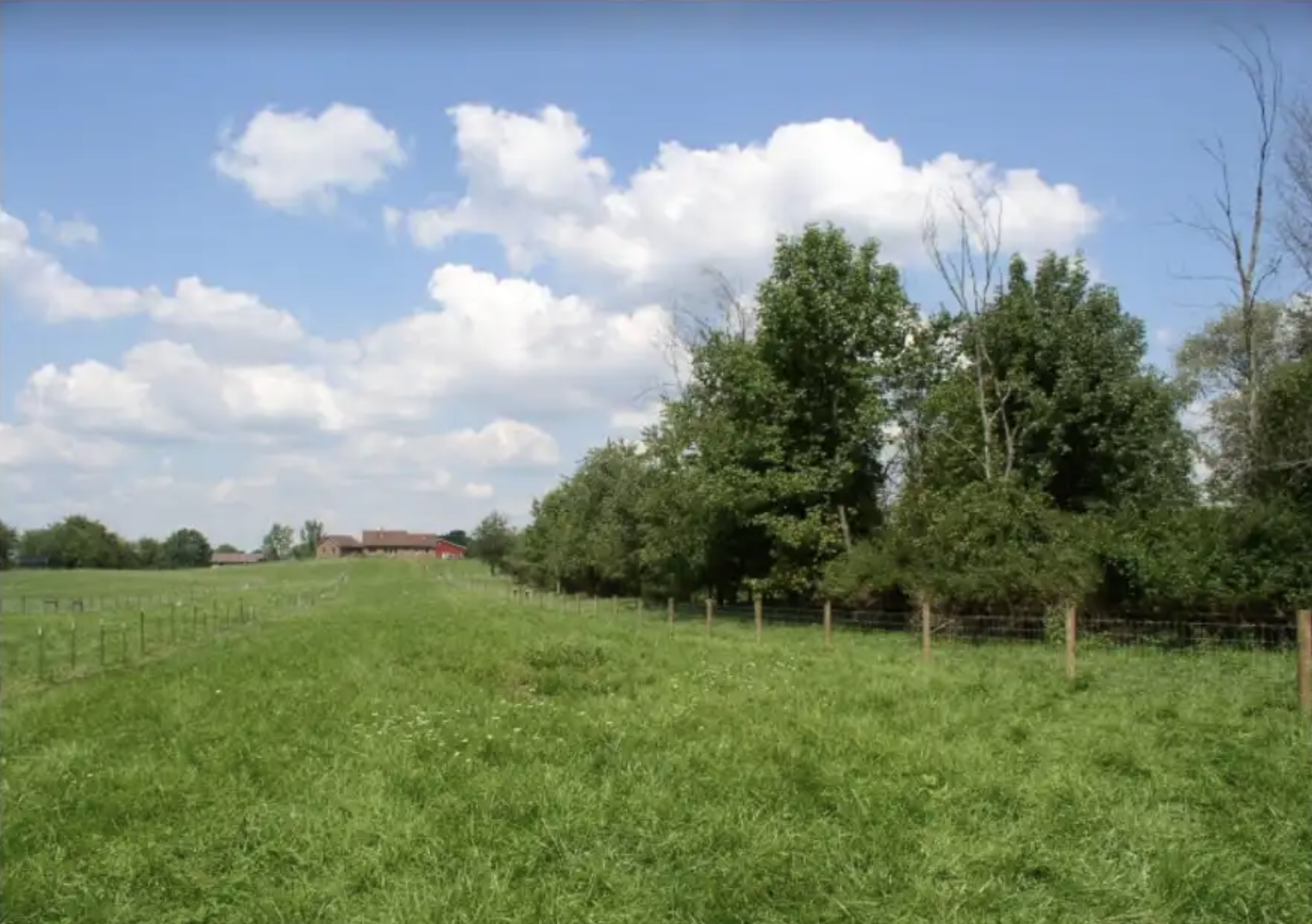 Green field with a pathway, trees, a distant building, and a partly cloudy blue sky.