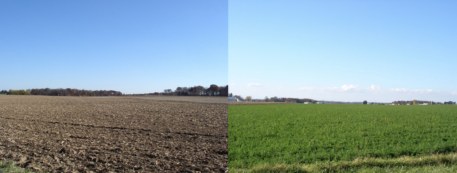 Split image shows a barren field on the left and a lush green field on the right under a clear blue sky.