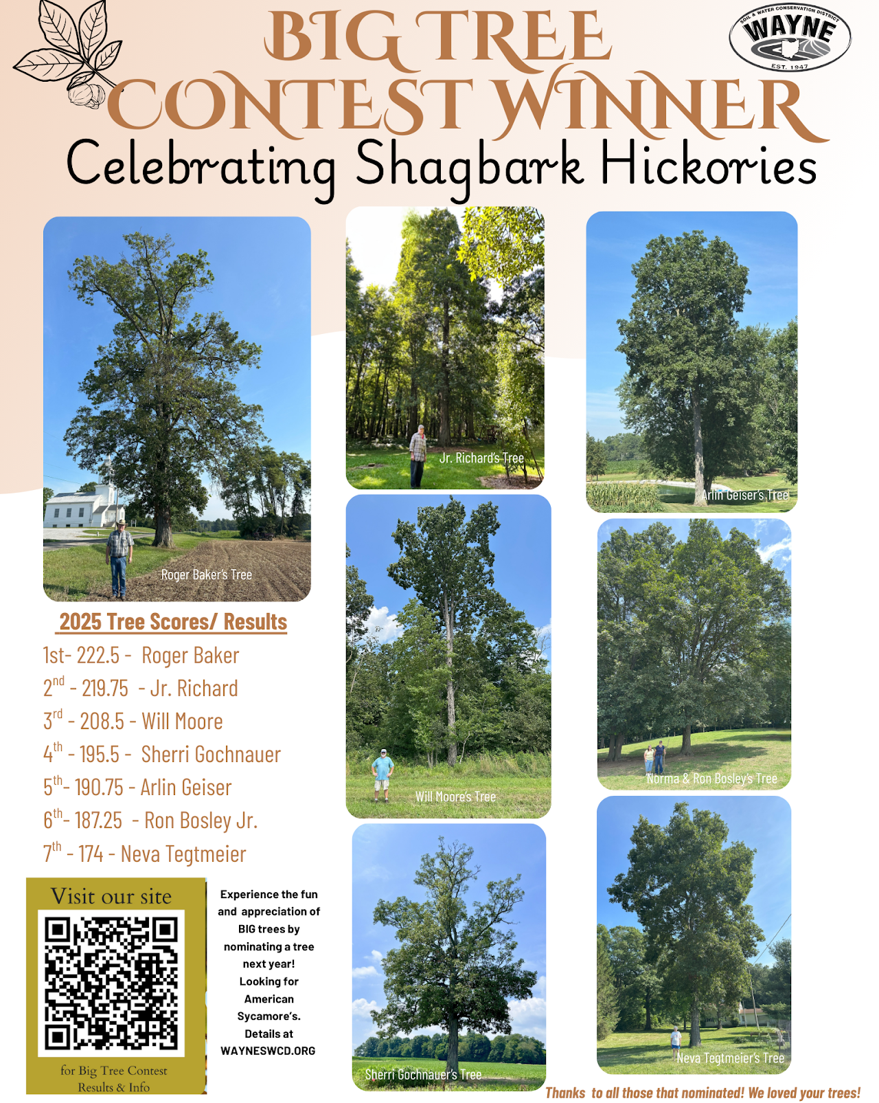 Collage of Shagbark Hickory trees from a "Big Tree Contest" with rankings and scores. Website info and contest participation details included.