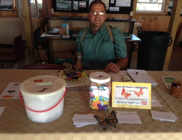 A man sits at a table with jars, papers, and a sign about guessing the number of butterfly items in a jar.