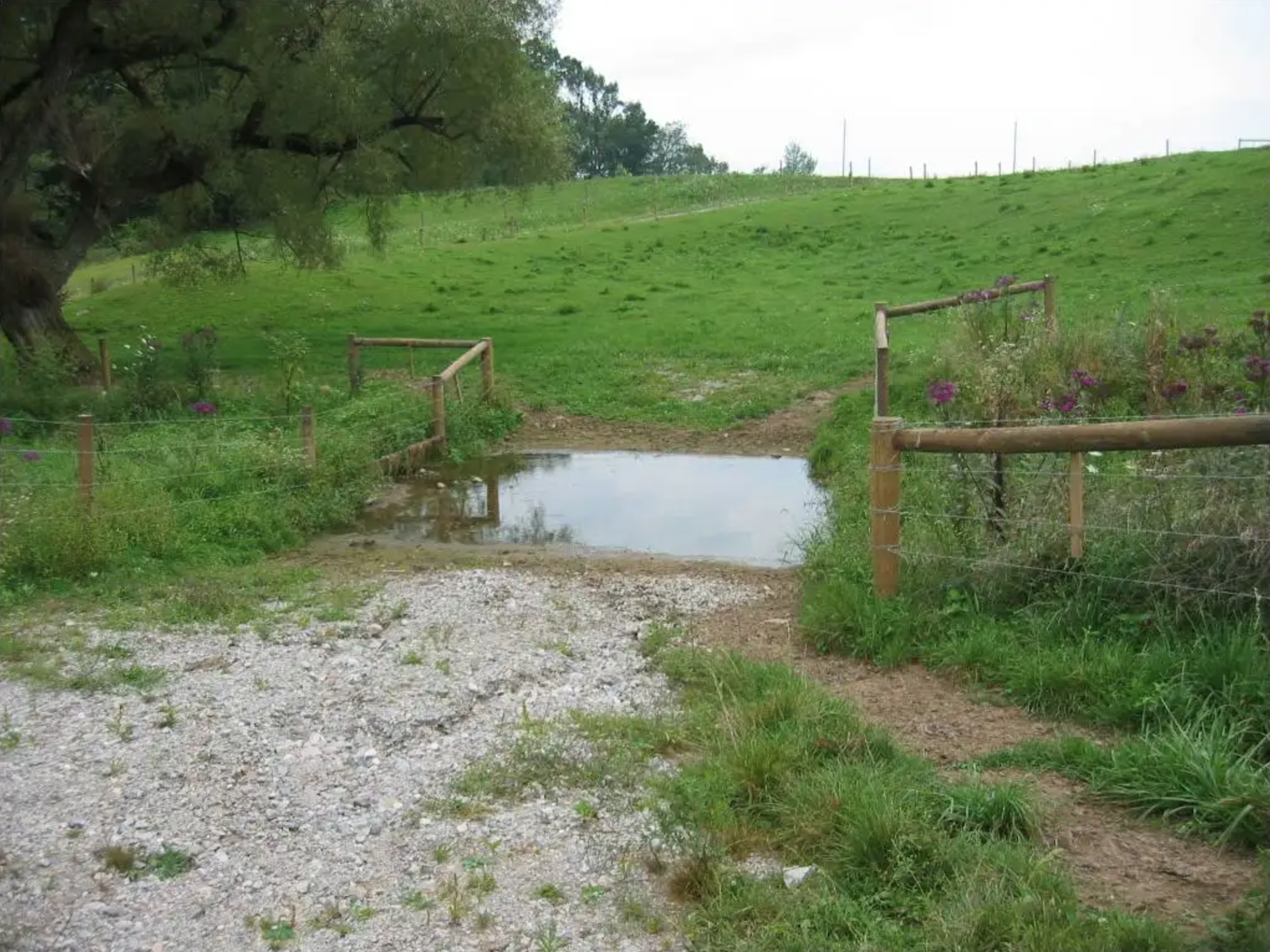 A grassy field with a gravel path leading to a shallow water crossing, flanked by wooden fences and trees.
