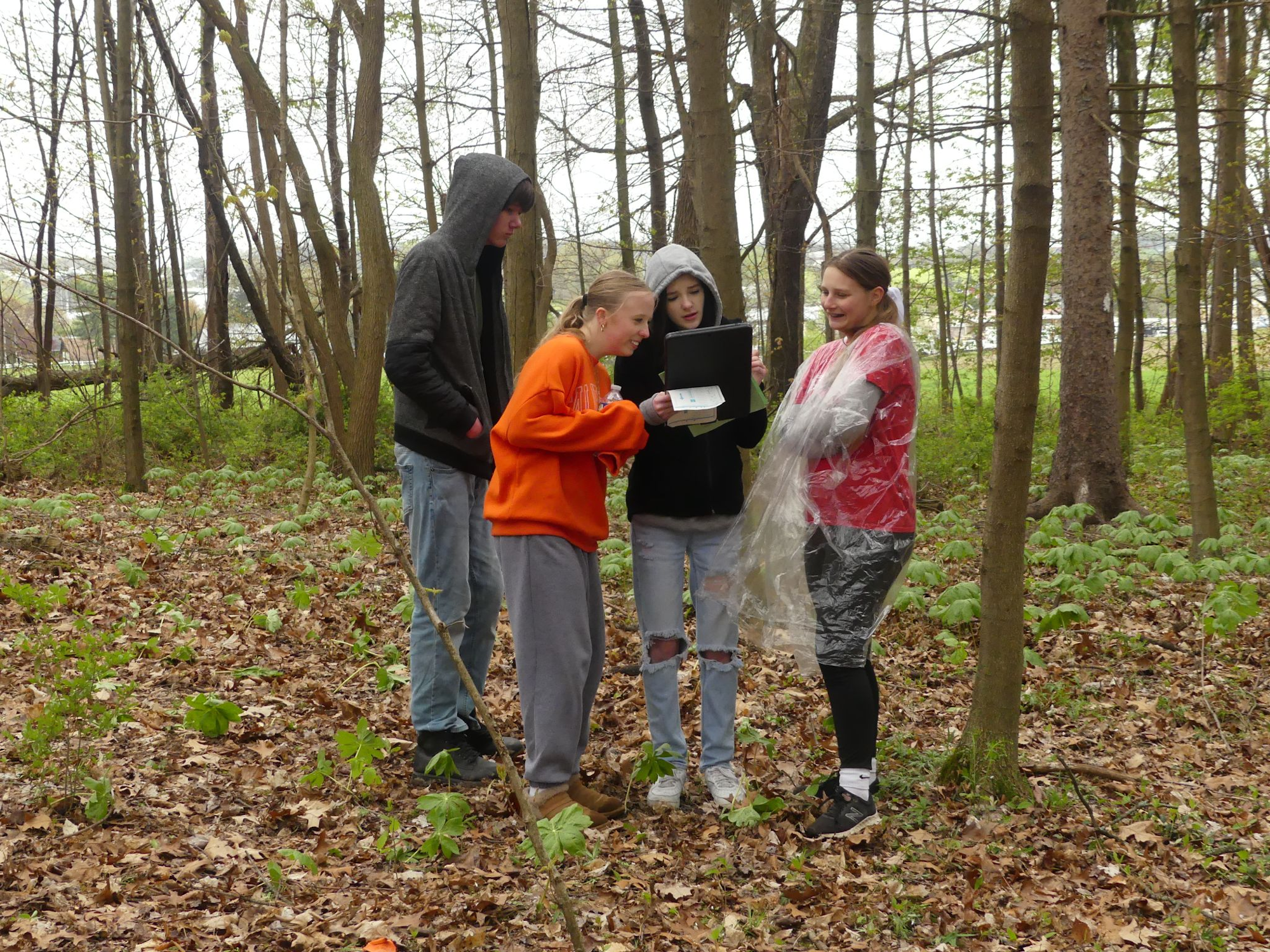 Four people in a forest setting are looking at a laptop screen, with two wearing hoodies. One has a transparent plastic cover.