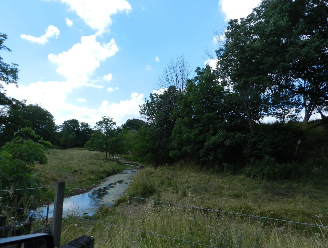 A grassy field with trees, a stream, and blue sky with clouds.