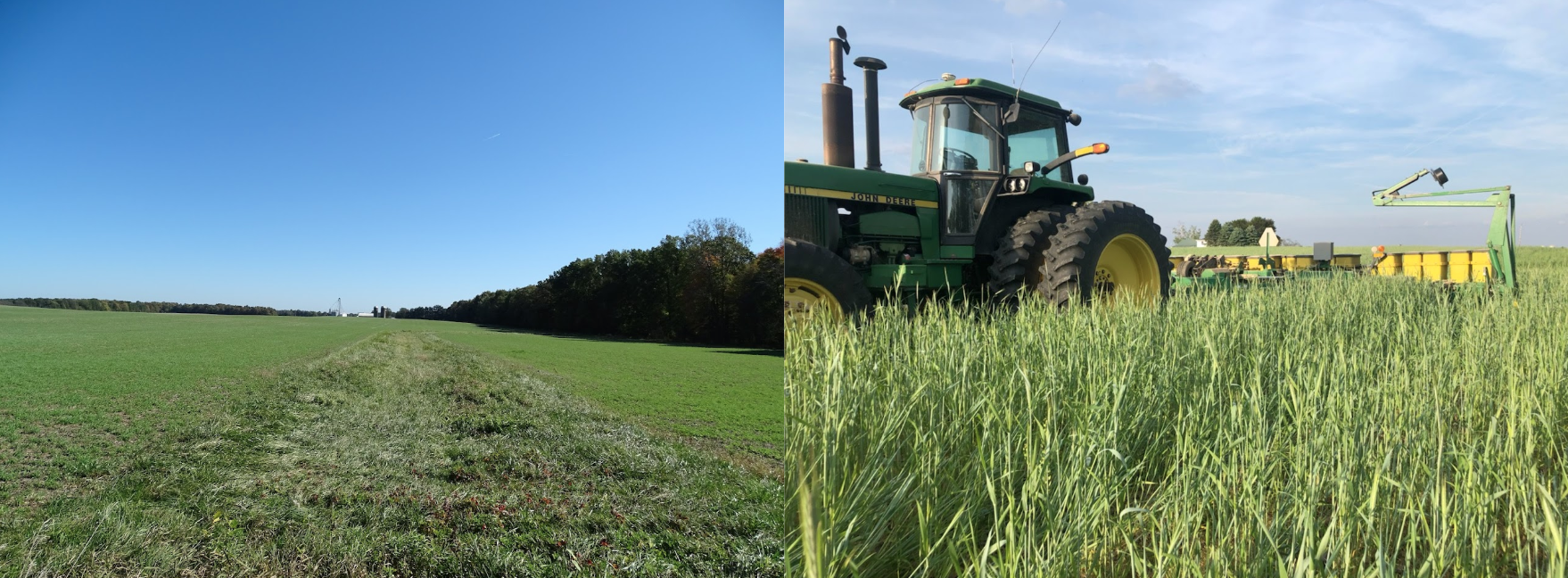 A grassy field under a clear blue sky and a tractor in a lush crop field.
