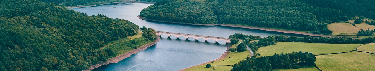 A bridge spans a river surrounded by lush green forests and fields, creating a serene landscape.