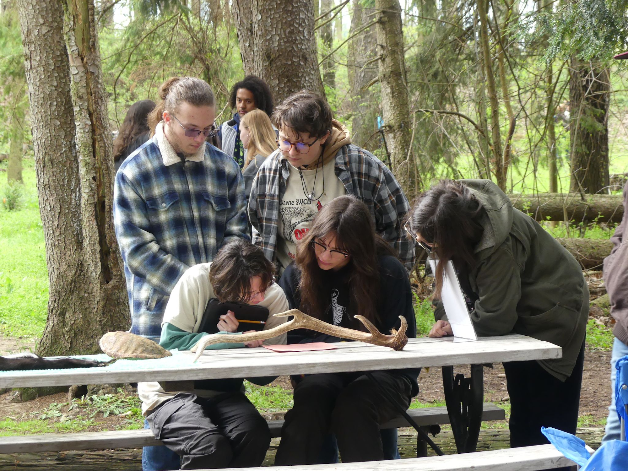 May contain: plant, vegetation, grass, nature, outdoors, park, land, tree, woodland, grove, jungle, person, reading, wood, face, head, photography, portrait, clothing, pants, people, bench, furniture, accessories, glasses, adult, female, woman, architecture, building, shelter, male, and man