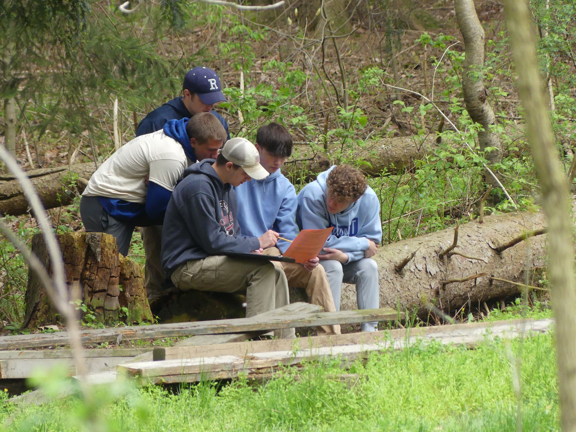 A group of people sitting on logs in a forest, examining a document.