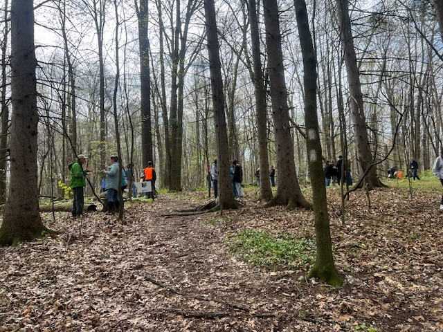 People gathered in a forest, surrounded by trees and fallen leaves.