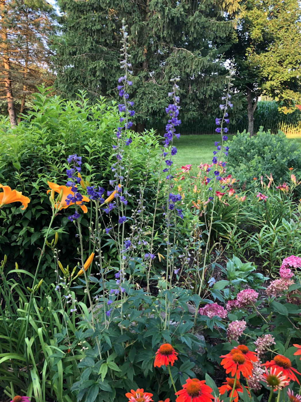 Colorful garden with purple, orange, and pink flowers, surrounded by lush greenery and tall trees in the background.