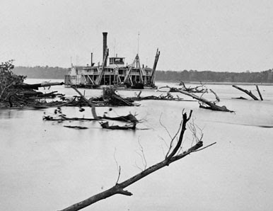 A riverboat navigates through a river with numerous fallen trees and branches in the water.