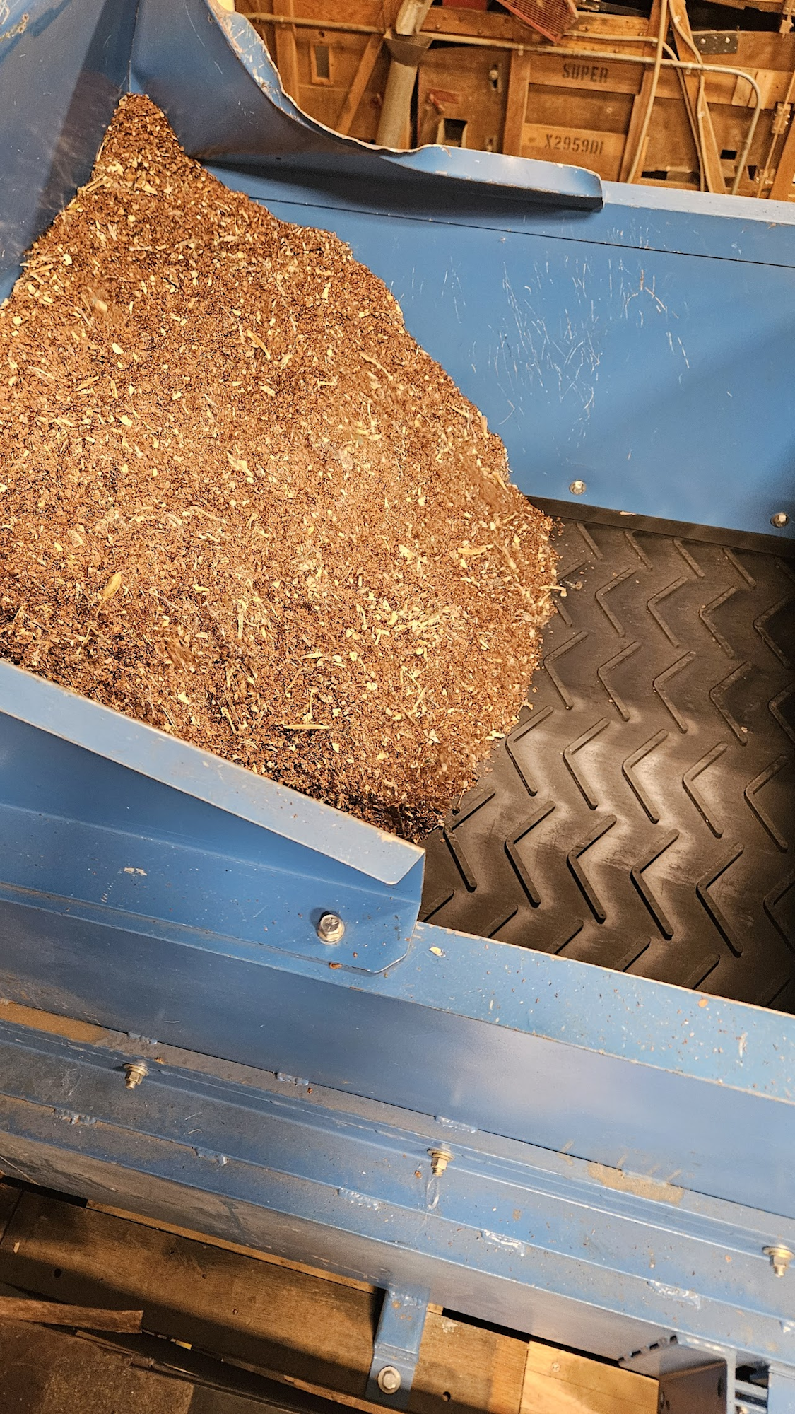 A conveyor belt with sawdust or wood shavings in a blue hopper.