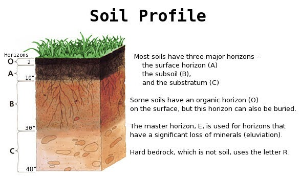 Soil profile diagram showing horizons O, A, B, C with descriptions of each layer and details on additional horizons E and R.