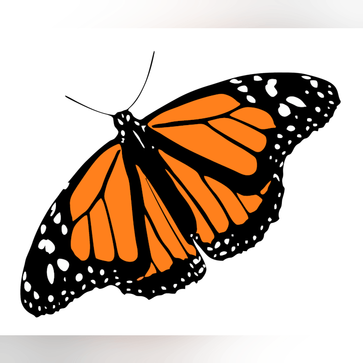 A stylized orange and black butterfly with white spots on its wings, set against a black background.
