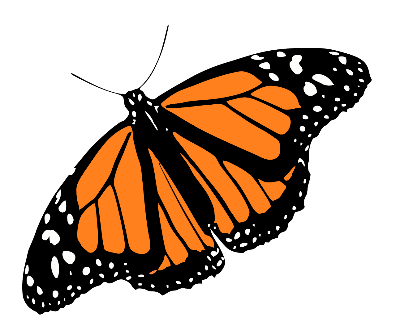 A stylized orange and black butterfly with white spots on its wings, set against a black background.