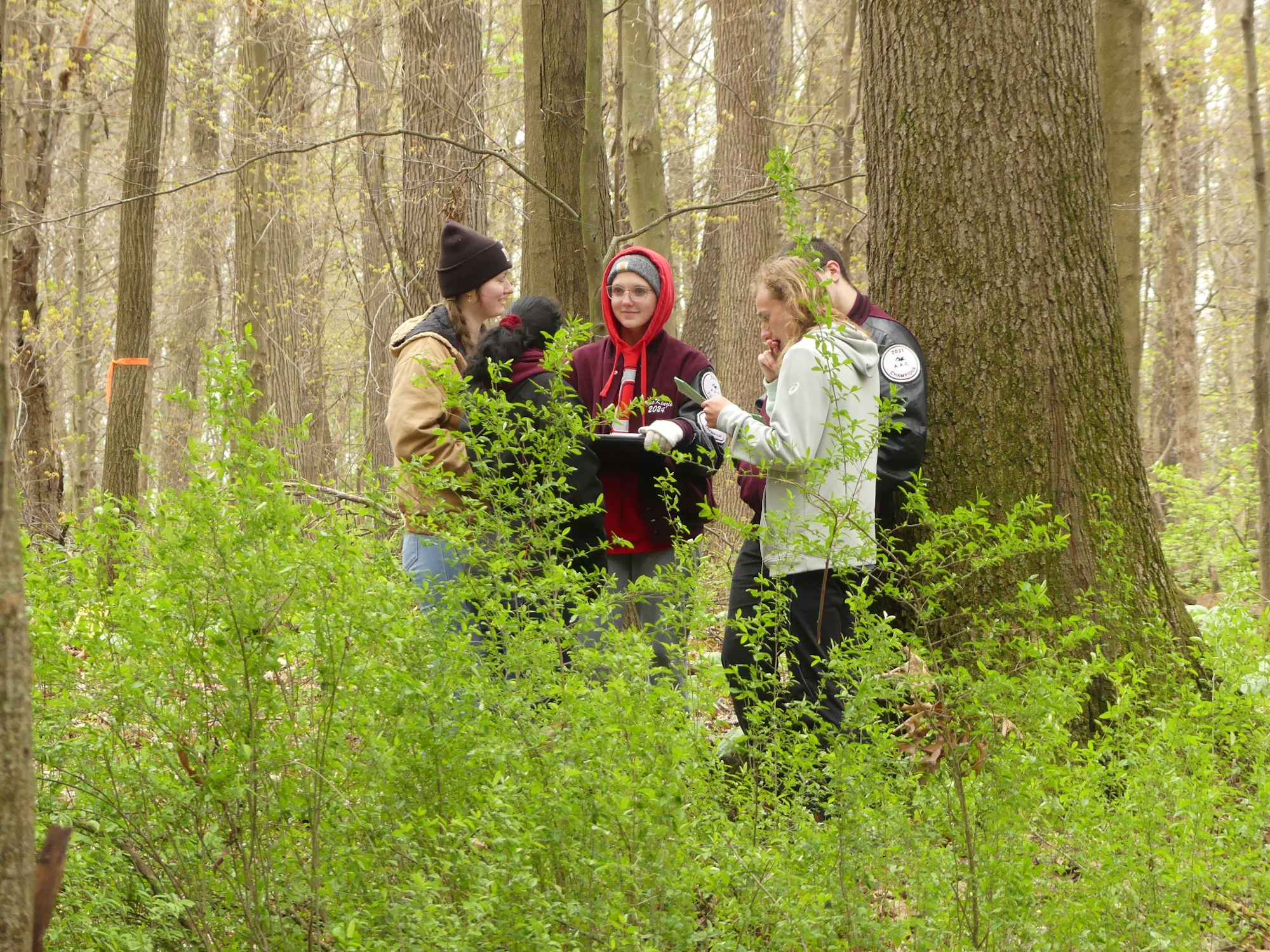 Four people standing in a forest, talking and holding papers, surrounded by trees and greenery.