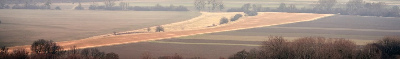 Aerial view of a foggy rural landscape with fields and scattered trees.