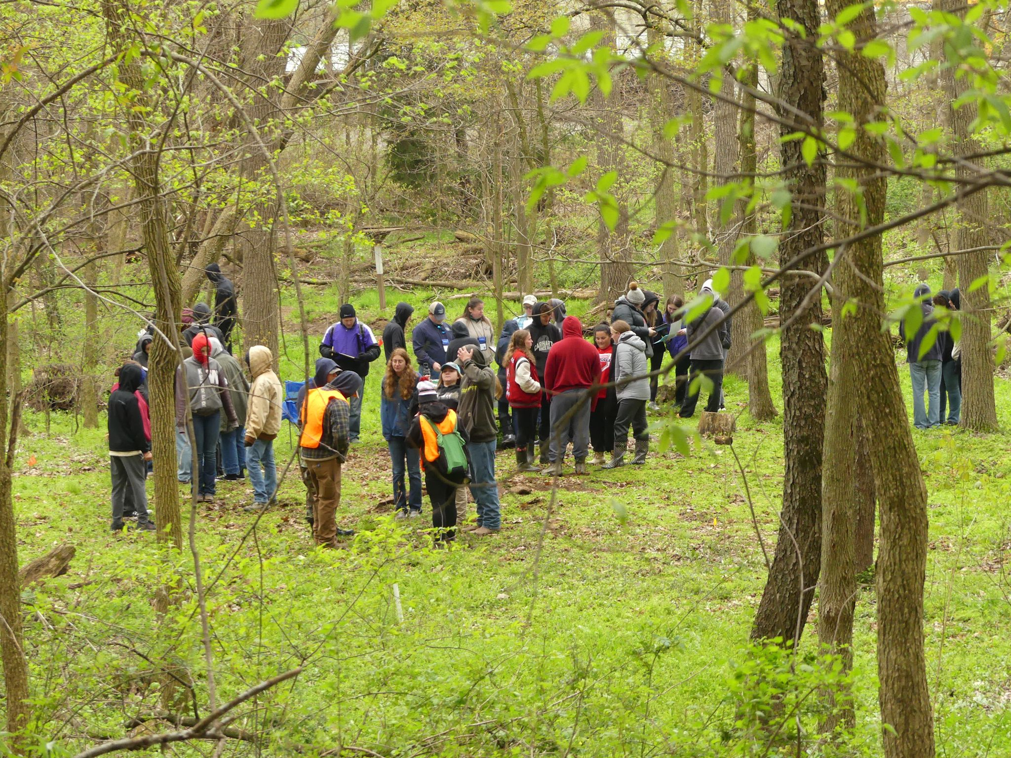 A group of people gathered in a forest for an outdoor meeting or event.
