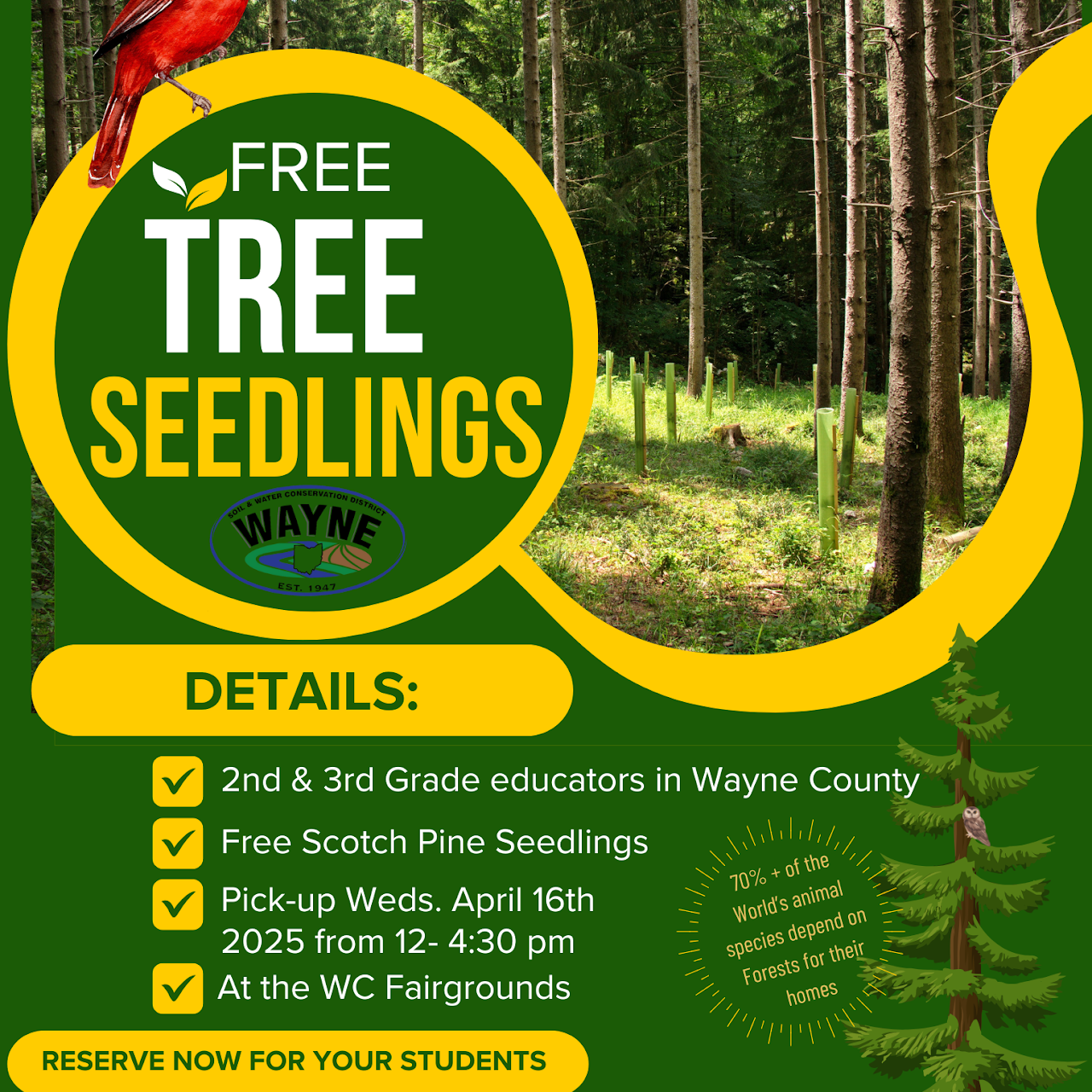 Free tree seedlings for 2nd & 3rd grade educators in Wayne County. Pick-up on April 16, 2025. Reserve now.