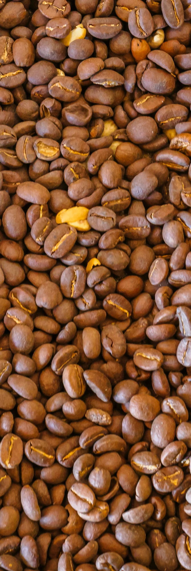 A close-up of roasted coffee beans.