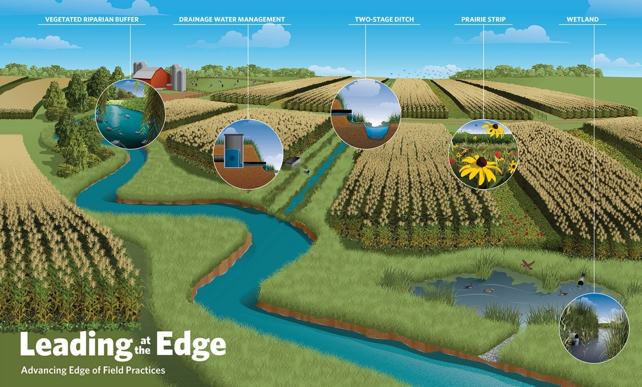 Illustration showing agricultural practices: riparian buffer, drainage management, two-stage ditch, prairie strip, and wetland.