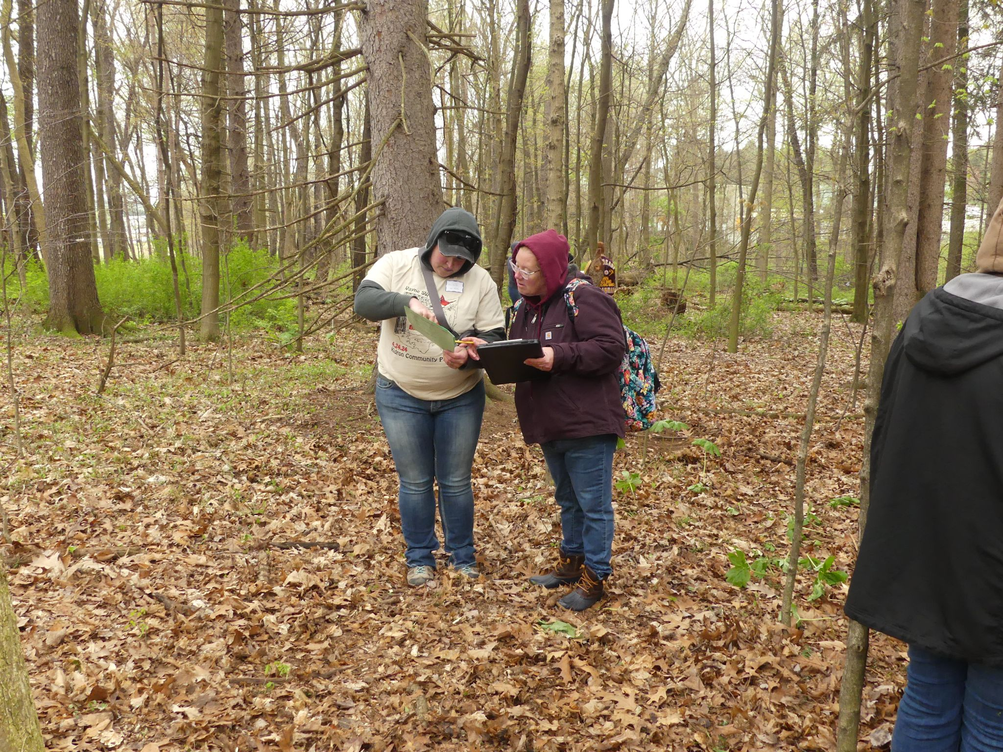 Two people in a forest examining something on a clipboard.