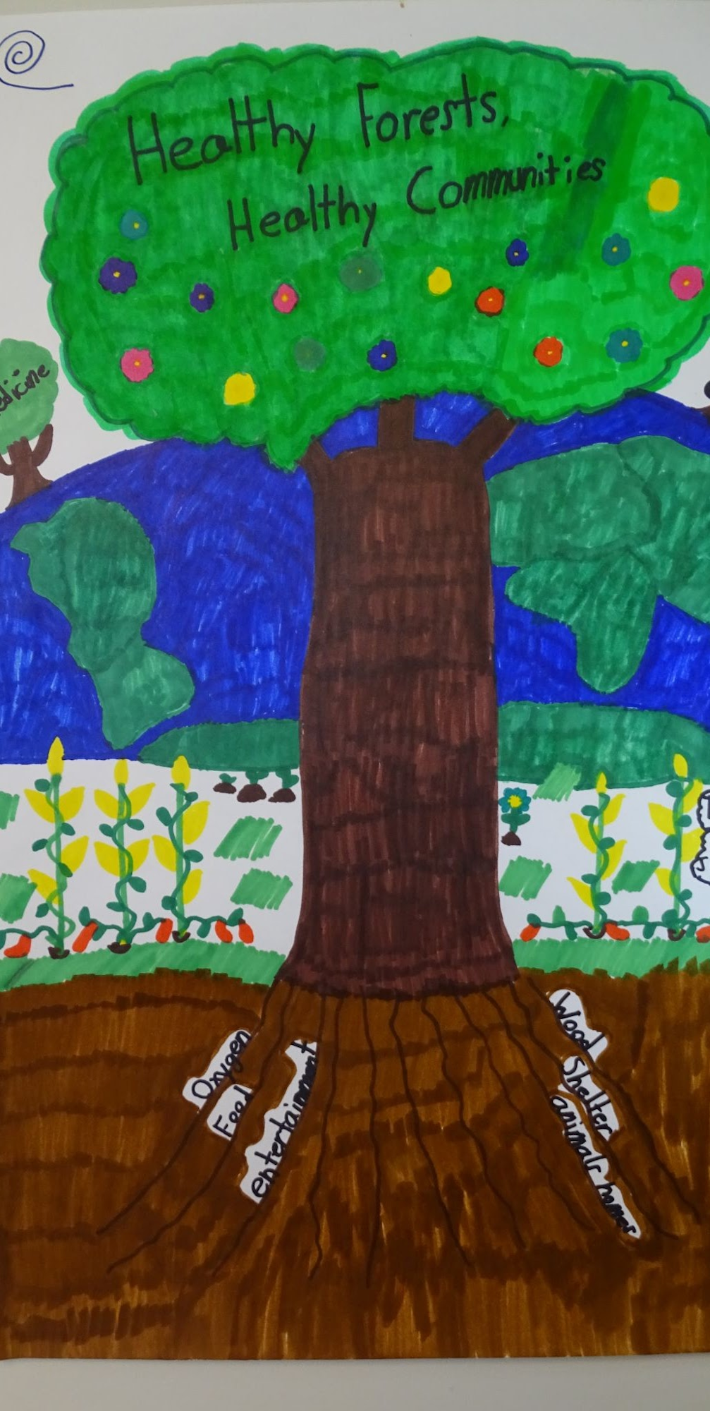 Drawing of a tree with "Healthy Forests, Healthy Communities" text, roots labeled with words like oxygen and shelter, and plants below.