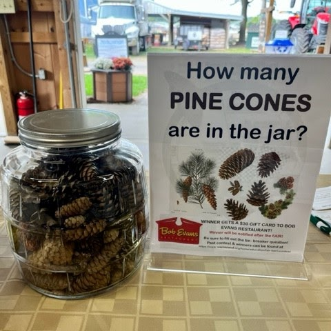 A jar filled with pine cones next to a sign asking how many are inside, offering a prize for guessing.