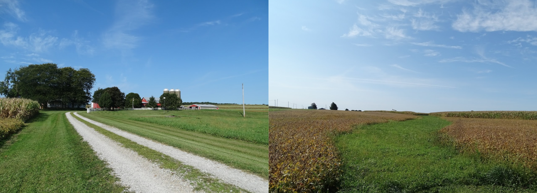 Rural landscape with a farm, silos, trees, and a gravel path under a clear blue sky.