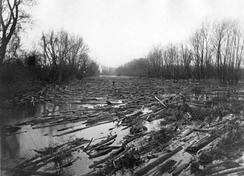 A river choked with fallen logs and debris, lined by bare trees.