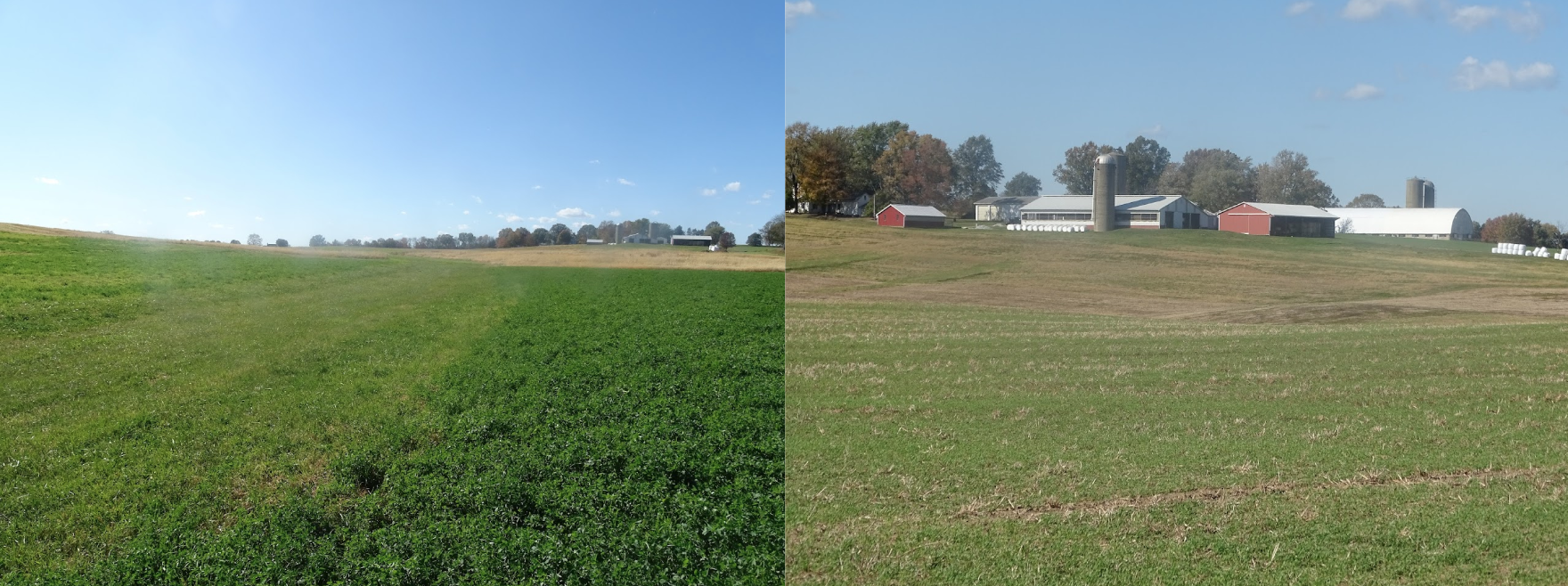 A split image showing a green field on the left and farm buildings with silos on the right under a blue sky.