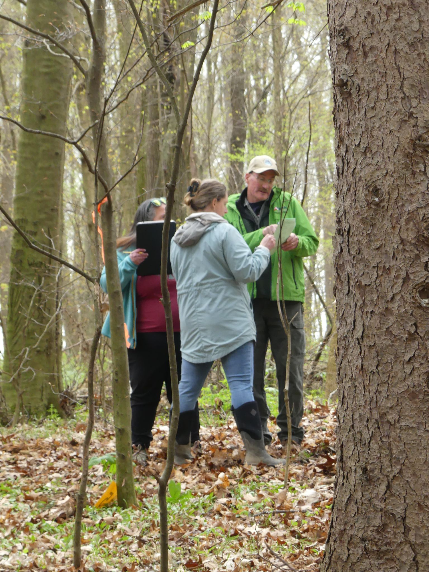 Three people studying a plant in a forest, with one holding a clipboard.