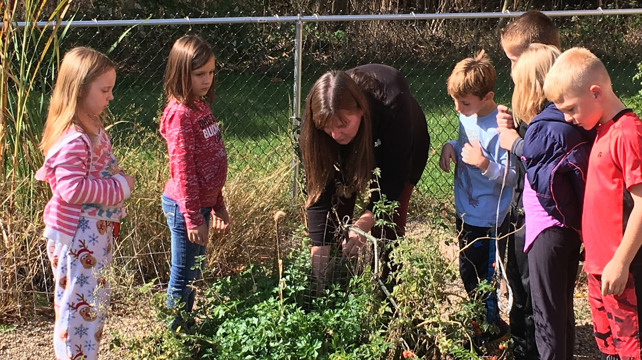 A group of children and an adult in a garden, observing plants near a fence.