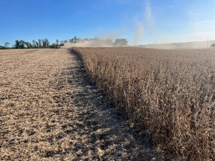 The image shows a field with dry, harvested crops and a dust cloud, likely from a tractor working in the distance under a clear sky.