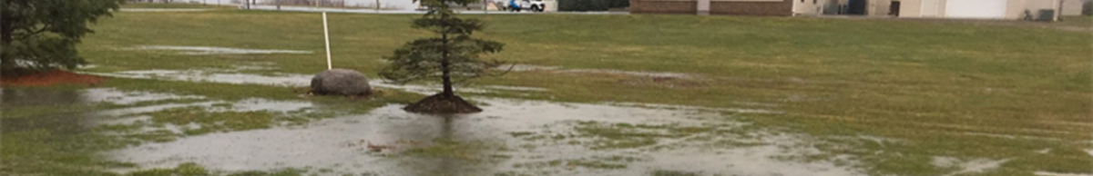 A flooded grassy area with a few trees, rocks, and buildings in the background.