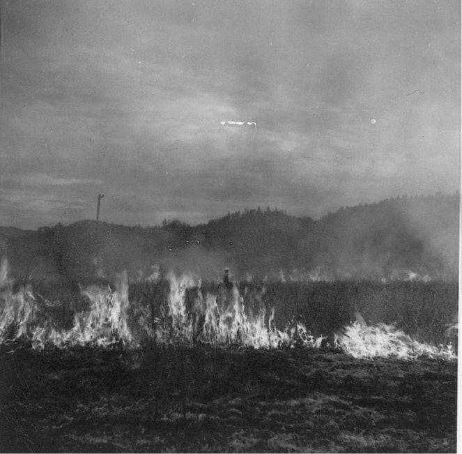 A field on fire with smoke rising and hills in the background.