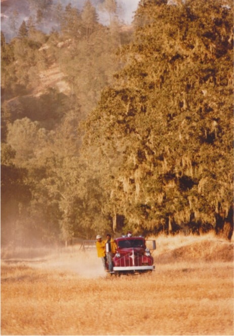 A tractor is moving through a dusty field adjacent to a dense forest.