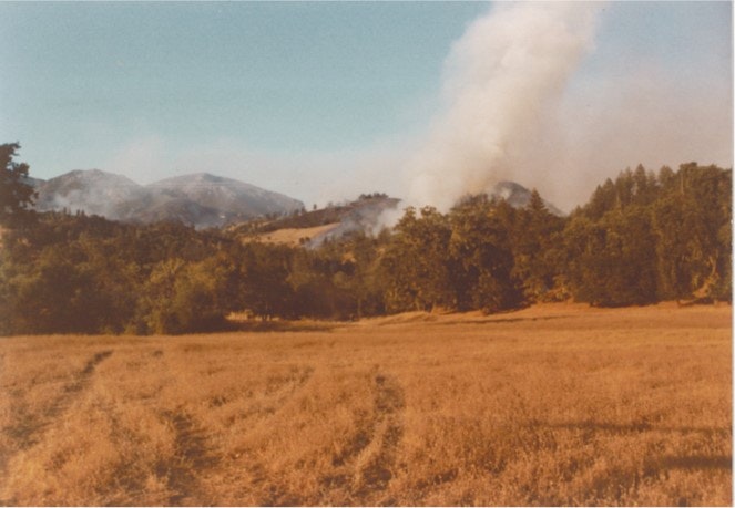 A smoke plume rises from a forested area with dry grass and trees in the foreground, and mountains in the background.