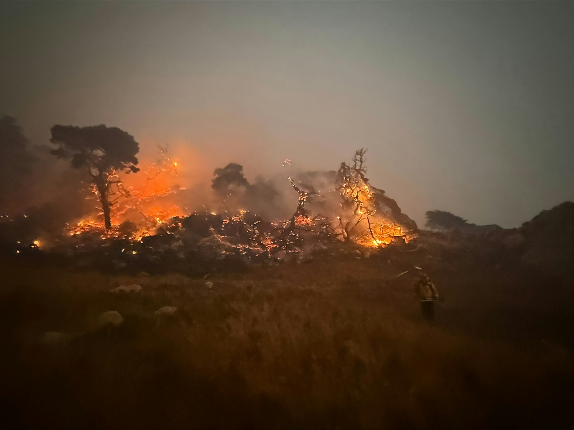 A wildfire scene with flames and smoke engulfing trees, alongside a person battling the fire in a grassy area.