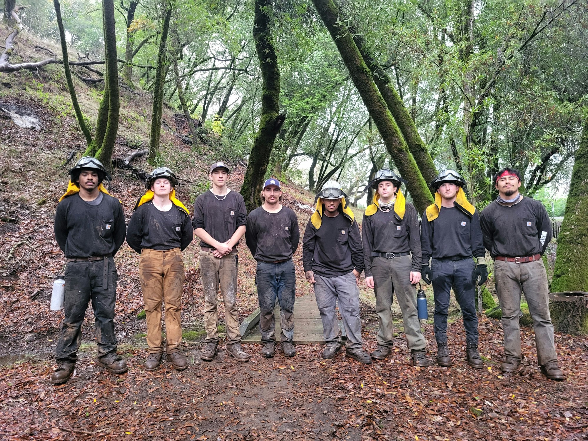Eight people in work clothes and helmets standing in a forested area.