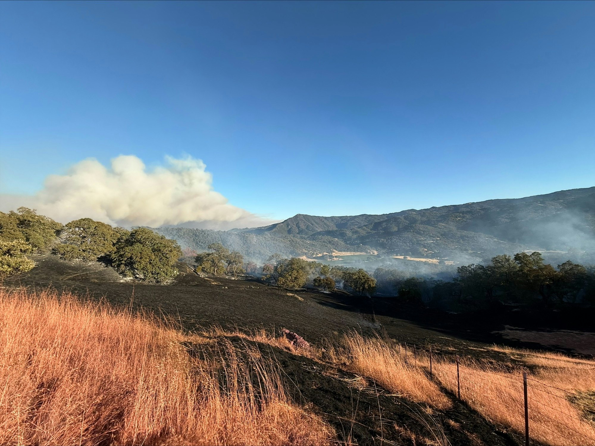 A landscape showing blackened terrain from a wildfire, with smoke rising in the distance under a clear blue sky.