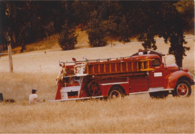 A vintage red fire truck parked in a grassy field with trees in the background.