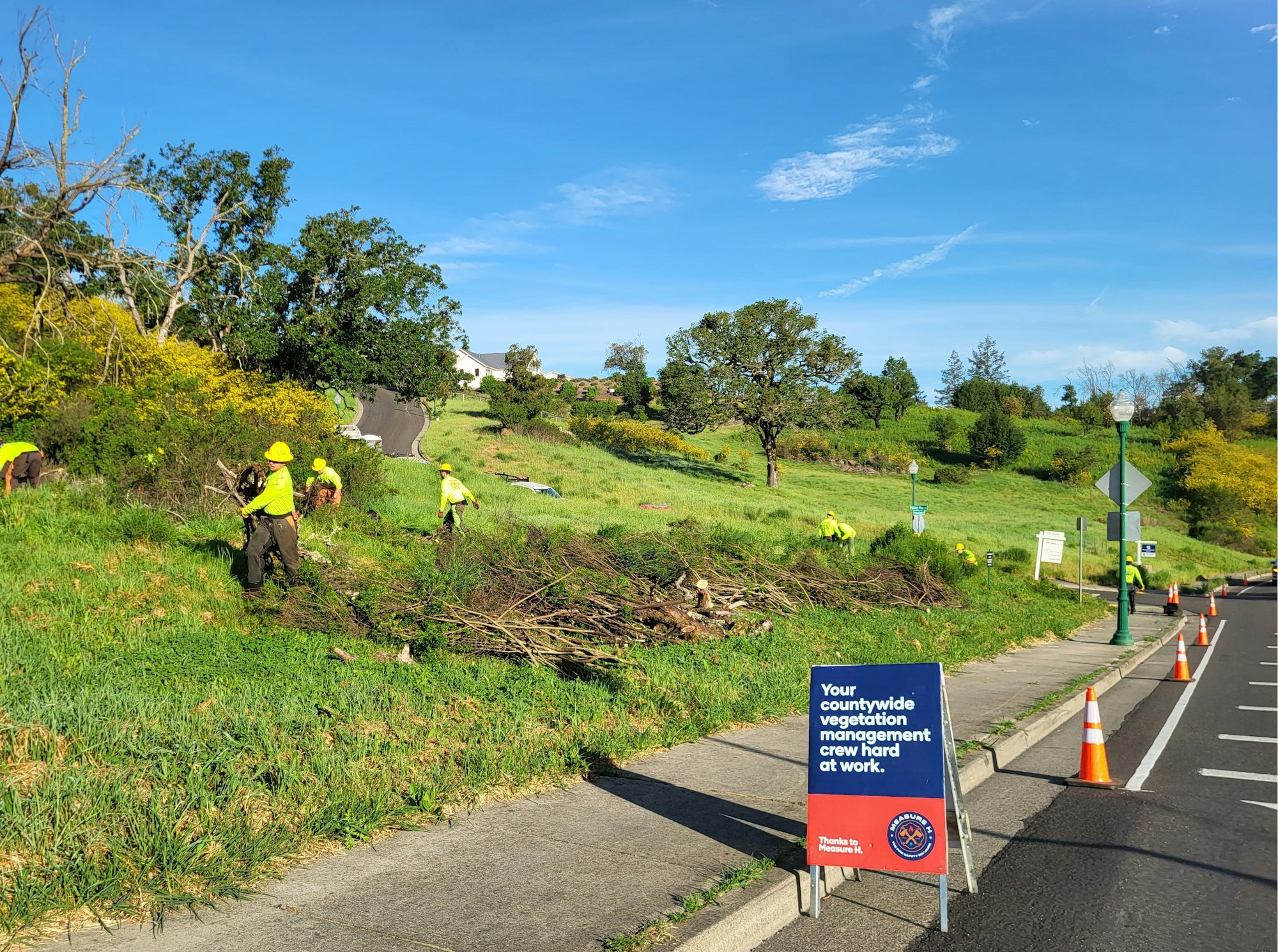 Workers in yellow vests are clearing vegetation alongside a road, with a sign indicating a vegetation management crew at work.