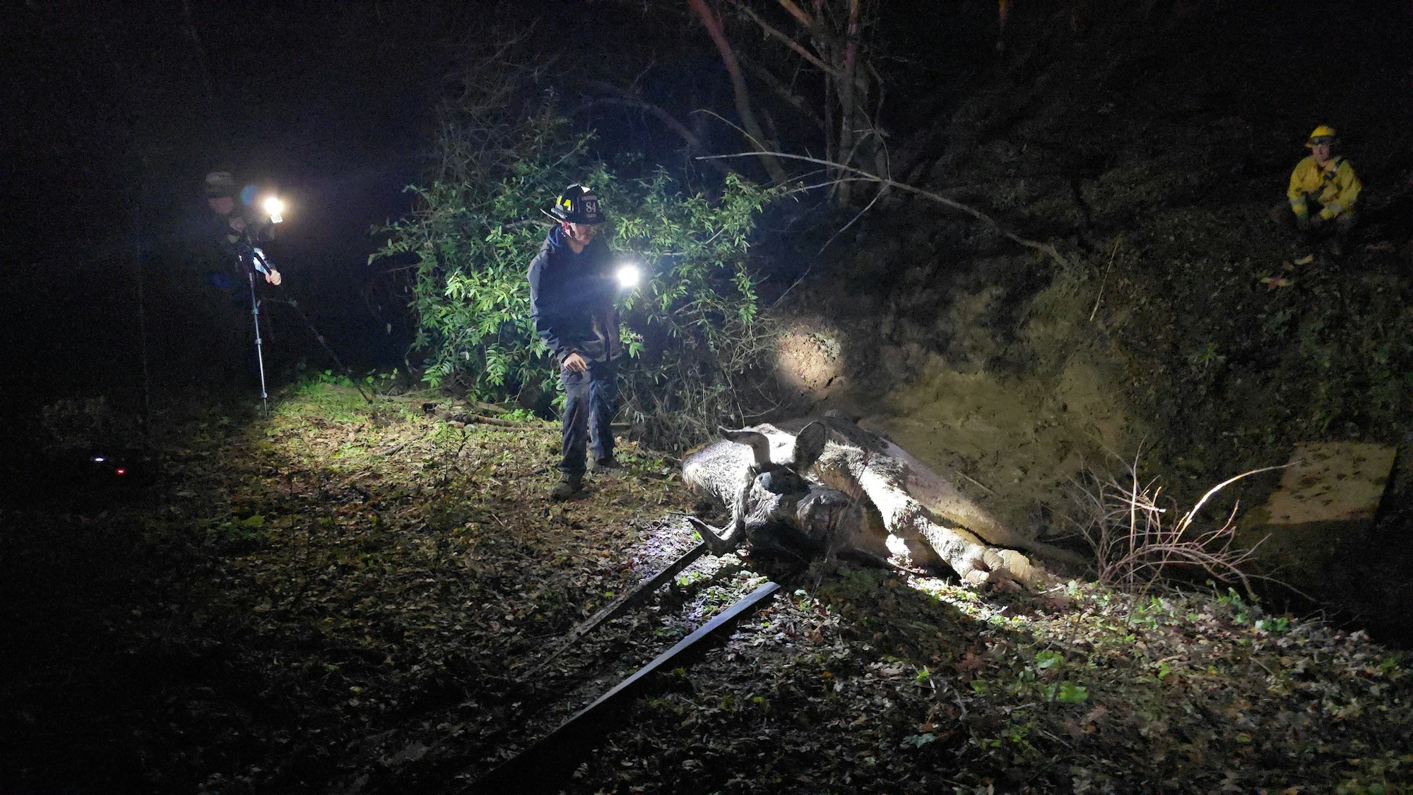Emergency responders are searching in a dark wooded area, examining a large object, possibly debris, using flashlights.