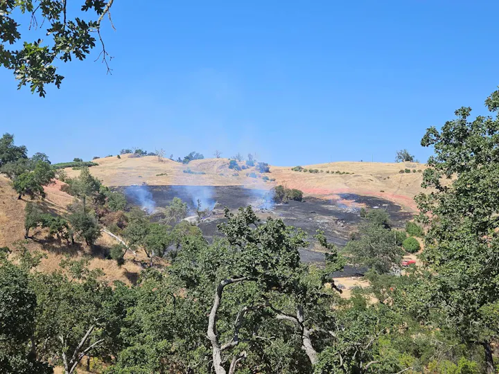 A dry landscape with smoke rising from burned areas, surrounded by trees and clear blue skies, indicating recent fire activity.