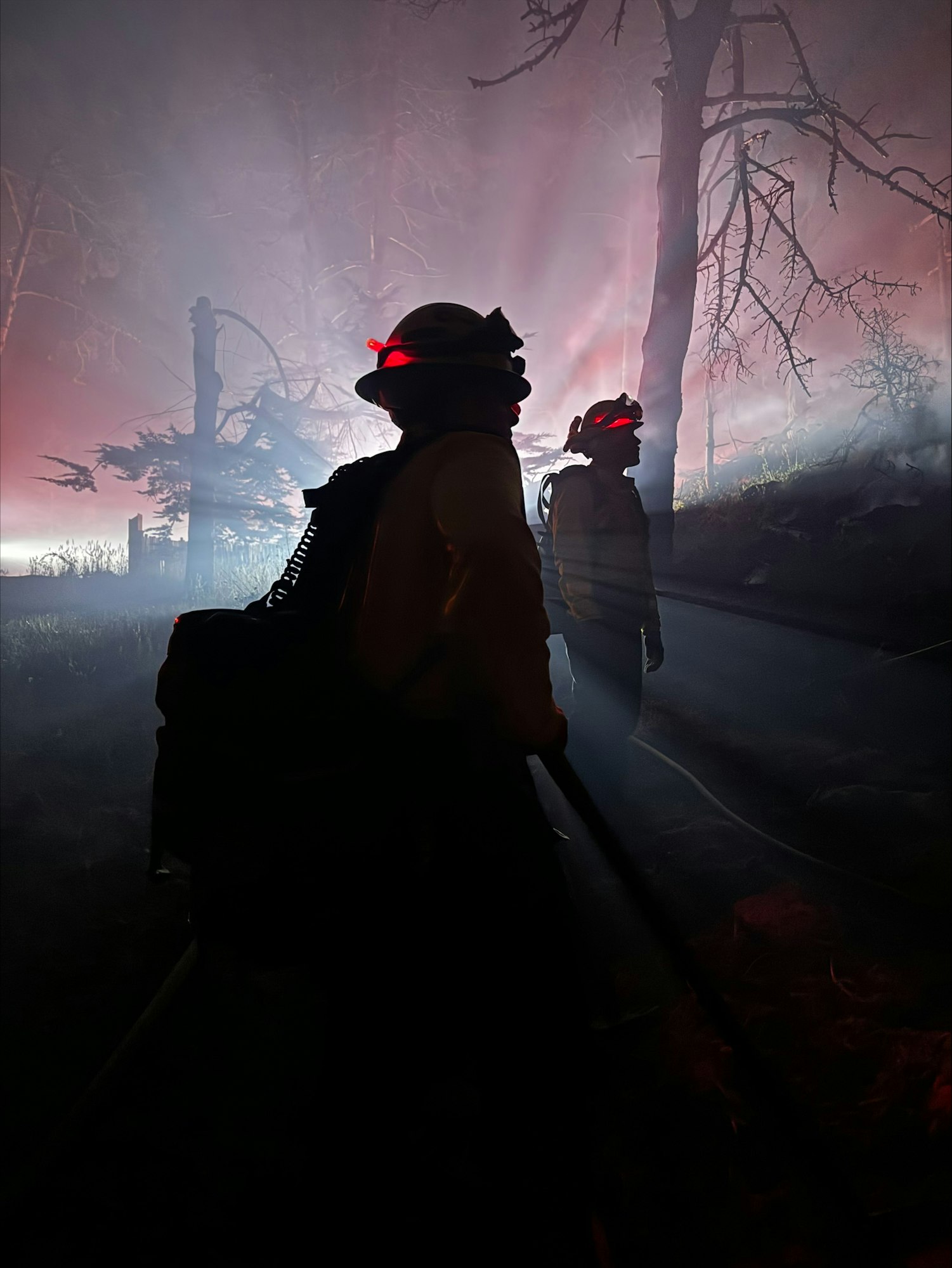 Silhouetted firefighters in helmets with red lights stand amidst smoky trees, creating an atmospheric scene of fire response.